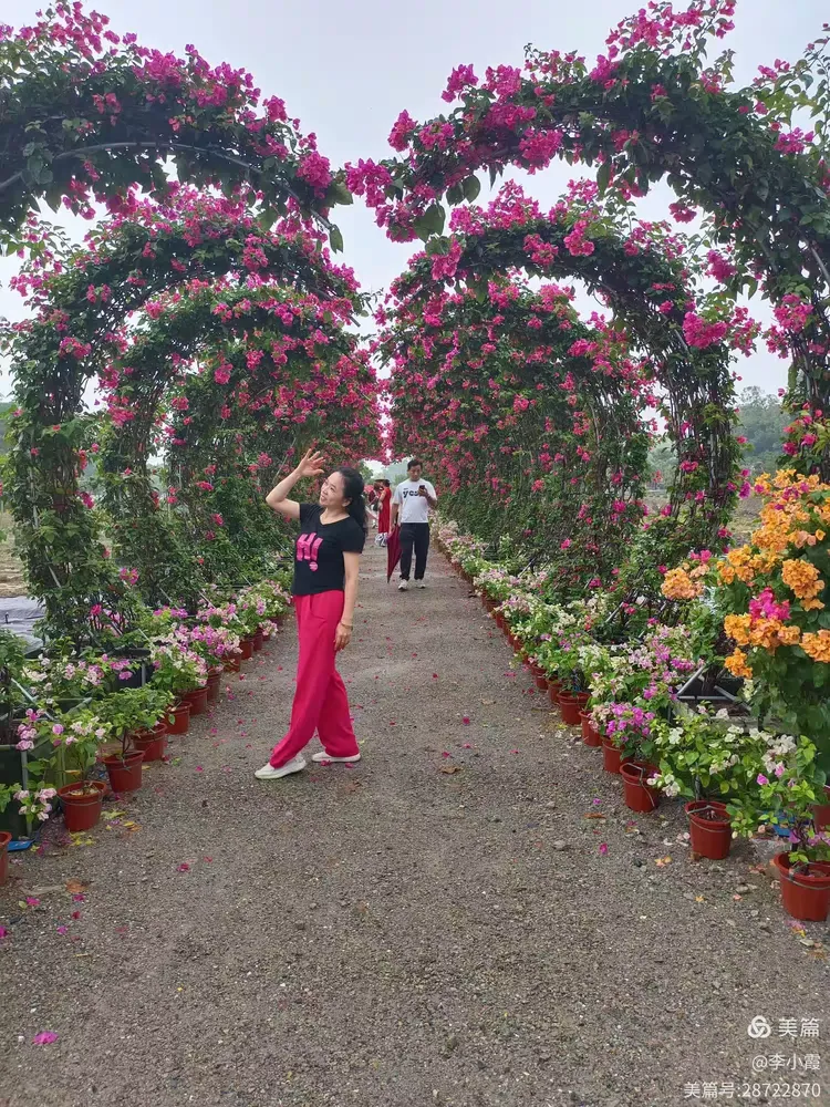 相聚开平塘口御宁山花海